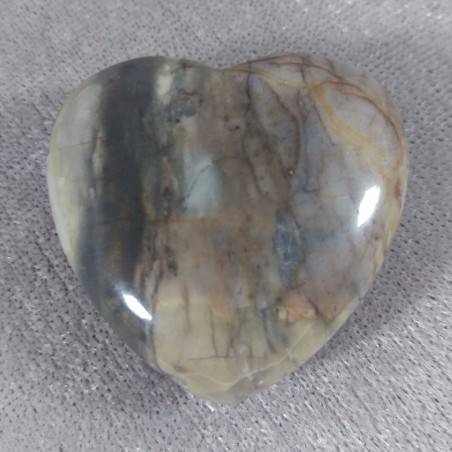 HEART in Fossil Petrified Wood Massage LOVE Crystal Healing Gift Idea in Valentine’s Day-4