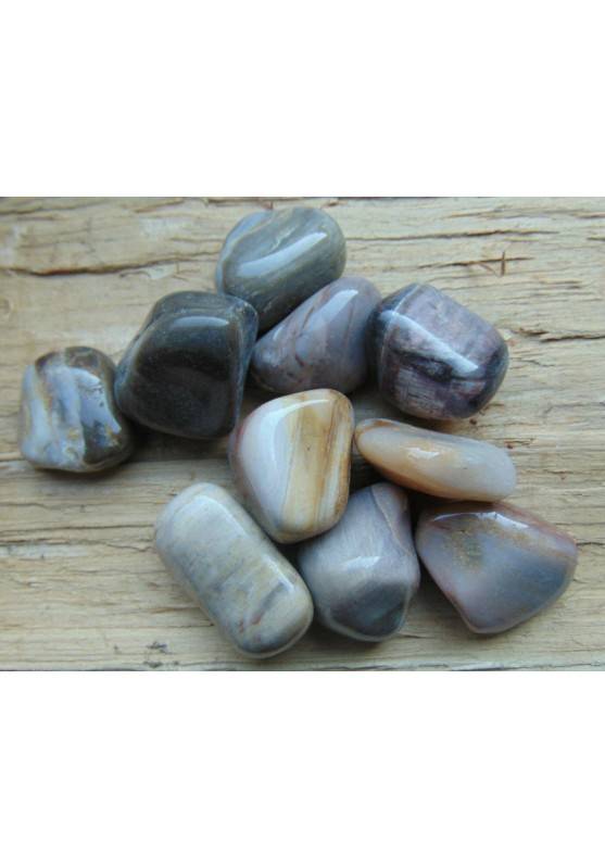 Legno Fósil Rodado Cristal Minerales Gema Cristaloterapia Regalo-1