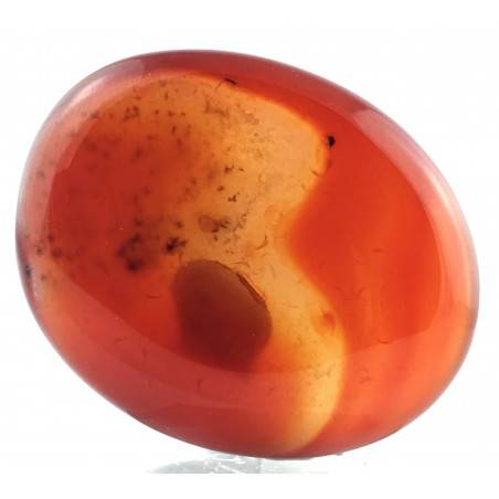 SAPONETTA in AGATA CORNIOLA Palmstone Carnelian Cristalloterapia Piastra Chakra-2