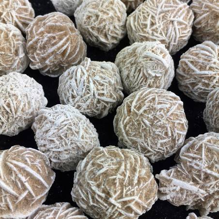 Raw Desert Rose Selenite Gypsum Mid Size Mexico Minerals & Specimens Chakra Reiki A+-2