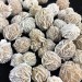 Rose de DÉSERT Brute Sélénite PLÂTRE Naturel Mexique Objets de collection Chakra A+-2