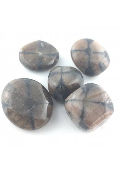 Chiastolite Andalusite Pietra Chakra Gemma Minerale Cristalloterapia Burattati-1