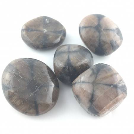 Chiastolite Andalusite Pietra Chakra Gemma Minerale Cristalloterapia Burattati-1