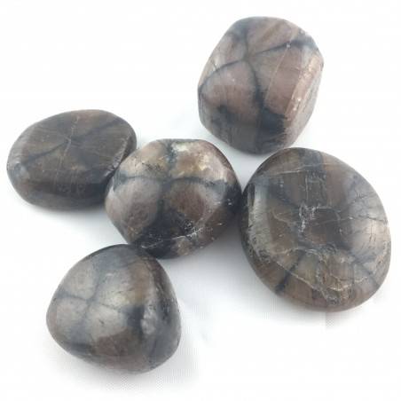 Chiastolite Andalusite Pietra Chakra Gemma Minerale Cristalloterapia Burattati-2
