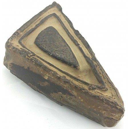 * Minerali * STROMATOLITE GIGANTE GREZZA Pakistan Cristalloterapia Chakra Reiki-1