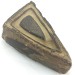 * Minerali * STROMATOLITE GIGANTE GREZZA Pakistan Cristalloterapia Chakra Reiki-1
