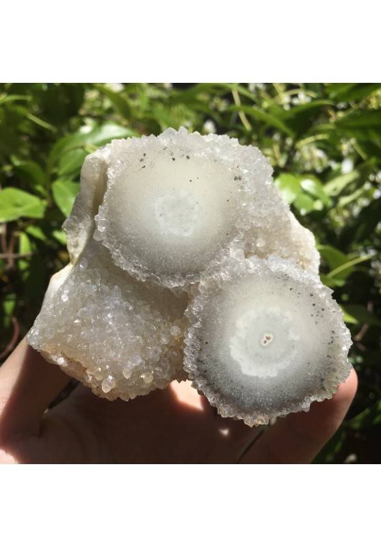 MINERALS * Druzy of AMETHYST Uruguay with Eyes Geode Stalactite 260g-1