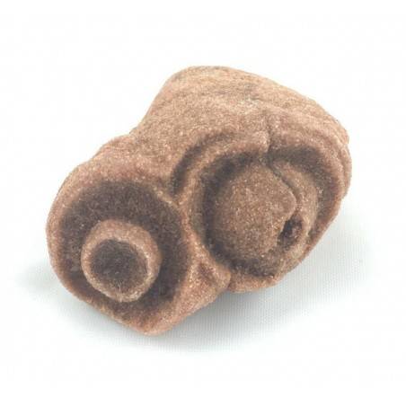 Rough STROMATOLITE MINERALS Chakra Reiki Crystal Healing Stone Talisman Zen-2