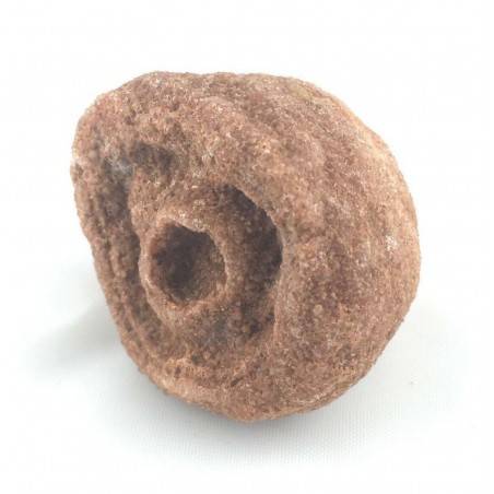 STROMATOLITE Grezza Minerali Marrone Chakra Cristalloterapia Pietra Talismano-2