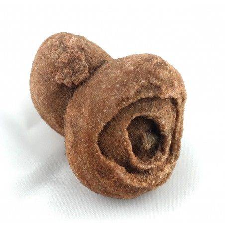 Rough STROMATOLITE MINERALS Chakra Crystal Healing Stone Talisman 51g Reiki-2