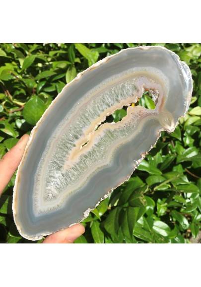 Minéraux * belle tranche de Agate Blanche-Grigio Objets de collection Chakra Reiki-1