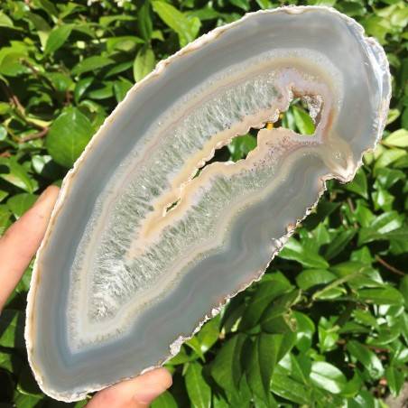 Minéraux * belle tranche de Agate Blanche-Grigio Objets de collection Chakra Reiki-1