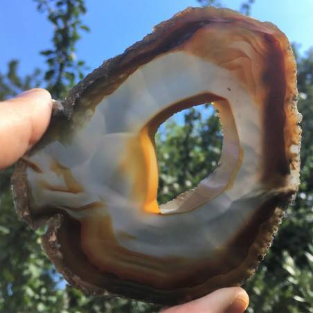 MINERALS * Gorgeous AGATE SLICE White-Brown Specimen 78gr-2