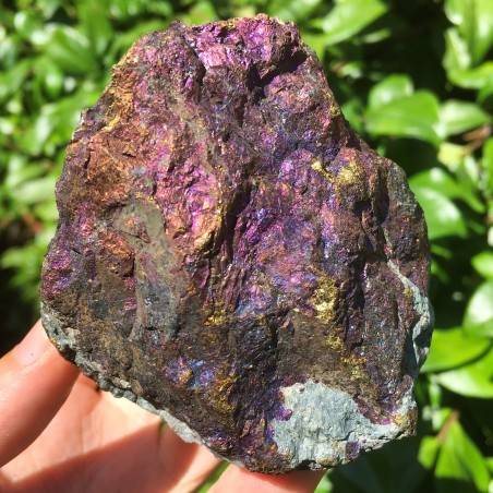MINERALE * Bellissima CALCOPIRITE Oro Grezza 415gr Collezionsimo-2