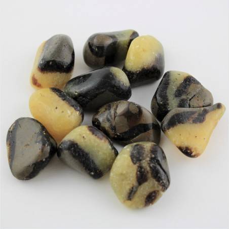 Septarian Tumbled Stone 1pc Crystal Healing Polished MINERALS High Quality A+-1