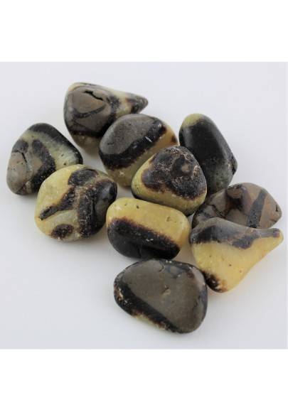 Septarian Tumbled Stone 1pc Crystal Healing Polished MINERALS High Quality A+-2