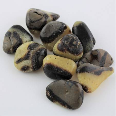 Septarian Tumbled Stone 1pc Crystal Healing Polished MINERALS High Quality A+-2
