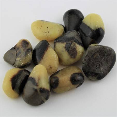 Septarian Tumbled Stone 1pc Crystal Healing Polished MINERALS High Quality A+-3