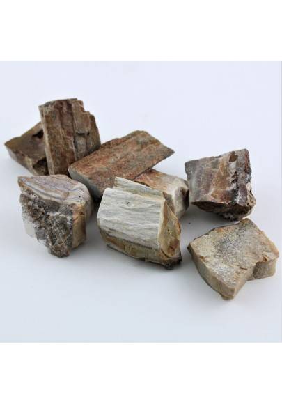 MINERALS * Big FOSSIL WOOD Polished Specimen High Quality Crystal Healing A+-1