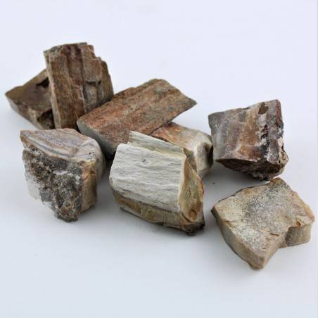 MINERALS * Big FOSSIL WOOD Polished Specimen High Quality Crystal Healing A+-1