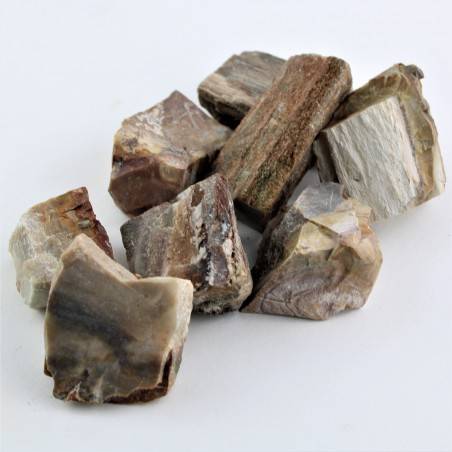 MINERALS * Big FOSSIL WOOD Polished Specimen High Quality Crystal Healing A+-2