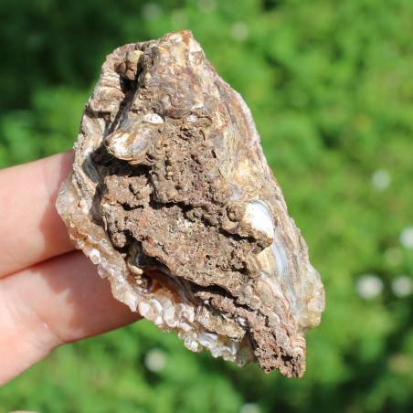 Minerals CONCINAS Rough CHALCEDONY Crystallized Crystal Healing 30g High Quality-3