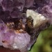 Big Rough Druzy Amethyst Natural Geode Crystal Healing 2179g Home Decor-3