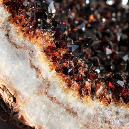 DRUSA QUARZO CITRINO GREZZO Minerale Cristalli Punta Chakra Qualità Geode A+-6