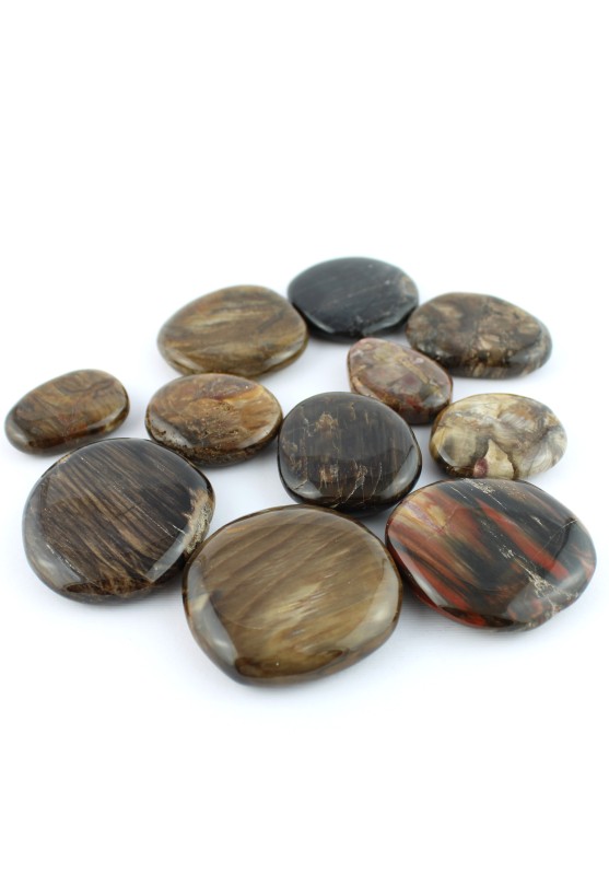 Palmstone en bois fossile Thérapie par les cristaux d'objets de collection en pierre minérale-2