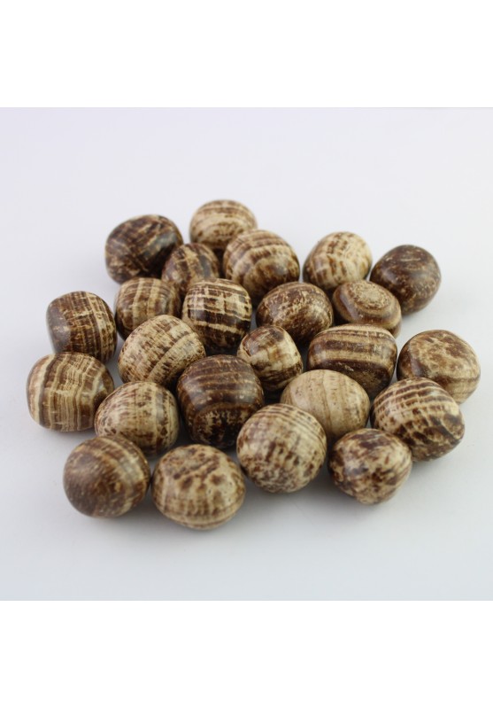 ARAGONITE Tumbled Thérapie par cristaux de haute qualité
