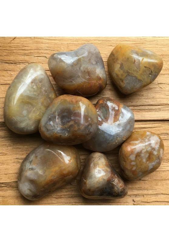 Dégringolé Coprolithe Excréments de Dinosaures Grand Cristal thérapie Qualité Chakra A+-1