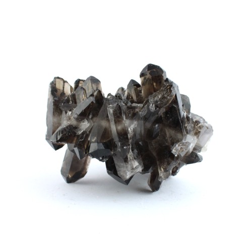 Large CLUSTER Drusa SMOKY QUARTZ Collectibles Furnishings Zen Chakra 1356gr-1