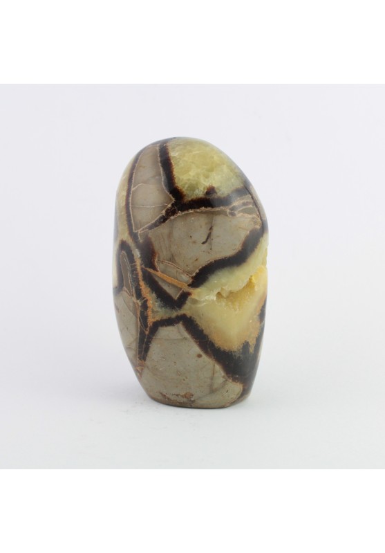 Paperweight in Septarian 642g Home Special Crystal Healing Stone MINERALS