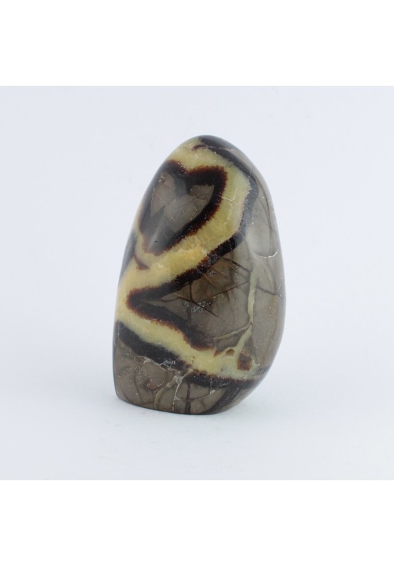 Paperweight in Septaria 524g Home Special Crystal Healing Stone Crystal Healing