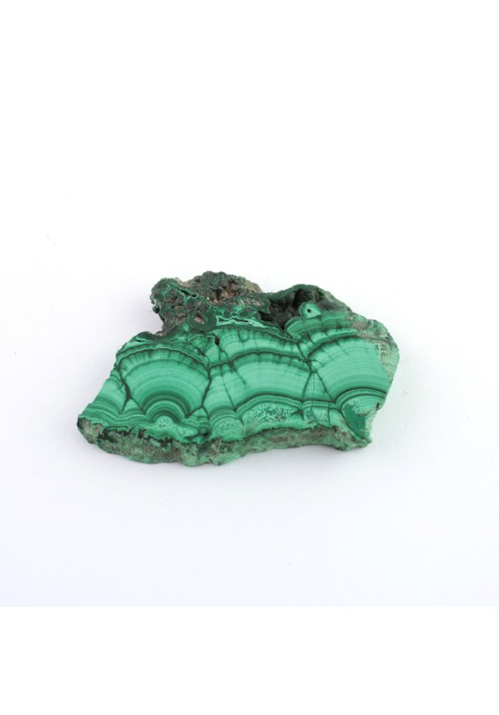 Plaque MALACHITE roulée 68gr Presse-papier Minéraux Mobilier de haute qualité Objets de collection A+-1