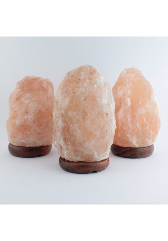 Lampada di Sale dell'Himalaya con Luce ad Intensità Modulabile Arredamento Collezionismo Minerali SPA