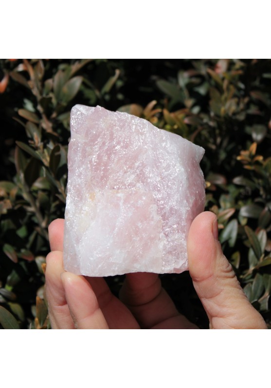 Minerals ROSE QUARTZ Raw 370gr Collectibles Mineral LOVE STONE Chakra Reiki