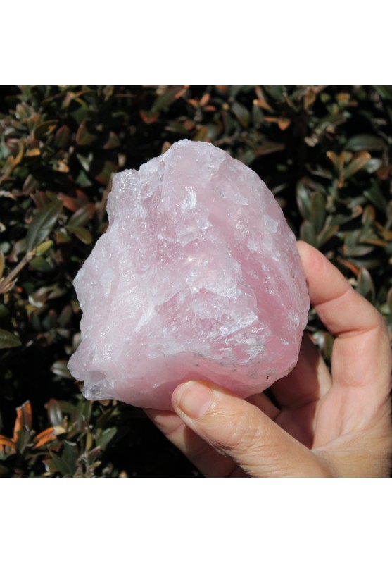 Large Block Rose Quartz Collectibles Crystal Therapy 600 Gr A+ Mineral of Love