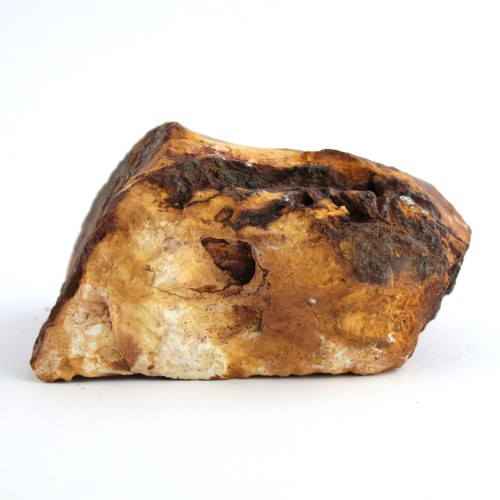 Raw MOOKAITE JASPER Mokaite 490 gr Origin Australia Yellow Brown Furniture Meditation-3