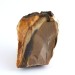 Raw MOOKAITE JASPER Mokaite 490 gr Origin Australia Yellow Brown Furniture Meditation-1