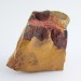 Large MOOKAITE JASPER Raw 558gr UNIQUE Collectible Piece Mokaite Australia Brown Yellow Purple-1