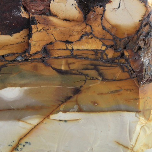 Beautiful Mookaite Jasper 600gr Mokaite Unique Piece White Brown Yellow Australia Collectible Piece-4
