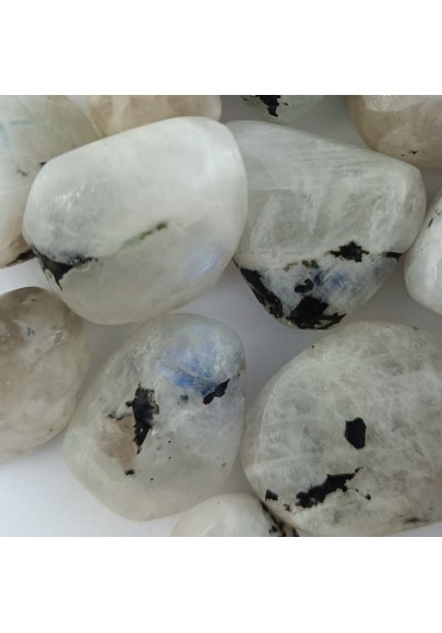 LABRADORITE BLANCHE  Qualité Extra Pierre de Lune reflex BLEU Cristal thérapie