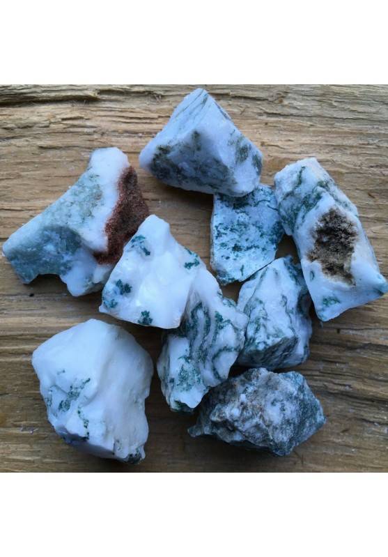 AGATA ARBORIZZATA GREZZO Quarzo Minerale Cristalloterapia Chakra Reiki A+-1
