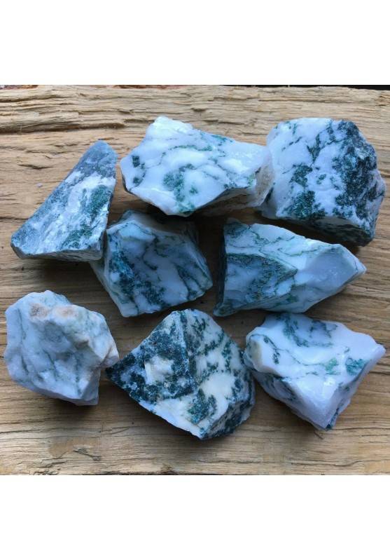 Rough AGATE Tree BIG MINERALS Crystal Healing Chakra Reiki A+-1
