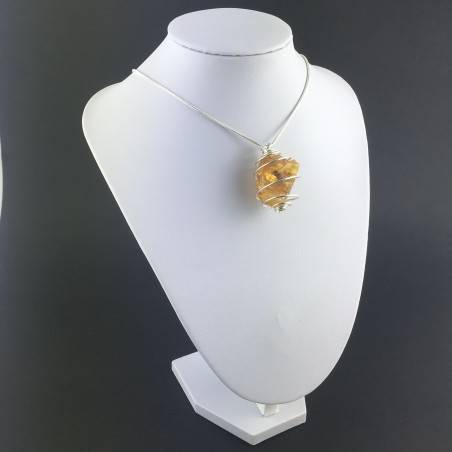 AMBER Large Pendant - LEO Zodiac Silver Plated Spiral Gift Idea A+-3