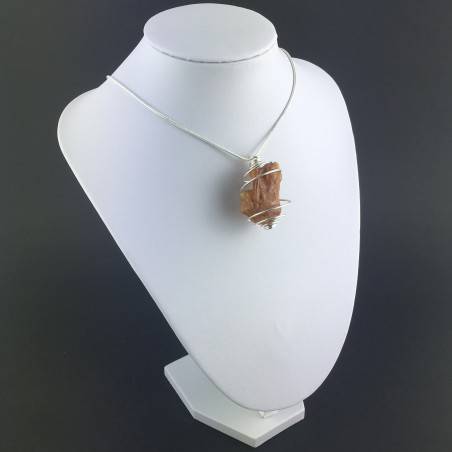 AMBER Large Pendant - LEO Zodiac Silver Plated Spiral Gift Idea A+-6