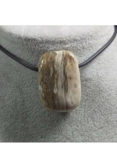 Pendant Gemstone in Orbicular Ocean JASPER Clear Chain Jewel Gift Idea-1