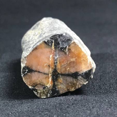 CHIASTOLITE GRANDE GREZZA da Collezione Cristalloterapia Chakra Regalo Zen A+-2