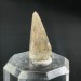 PUNTA di KUNZITE GREZZA PURISSIMA Cristallo Minerale Zen Cristalloterapia 2.9g-4
